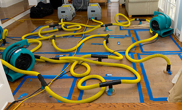 Professional Water Extraction technician working in Belk, AL